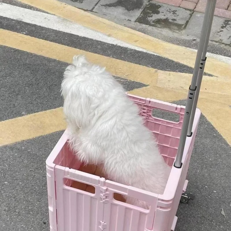 Carrello Pieghevole per la Spe - Outdoor Camping Trolley recensione e prezzo