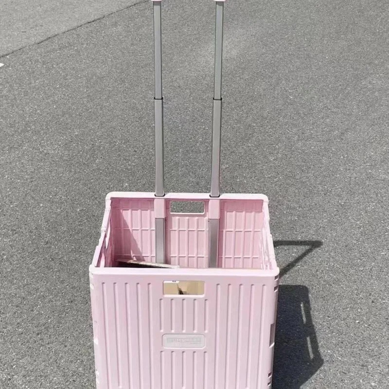 Carrello Pieghevole per la Spe - Outdoor Camping Trolley recensione e prezzo