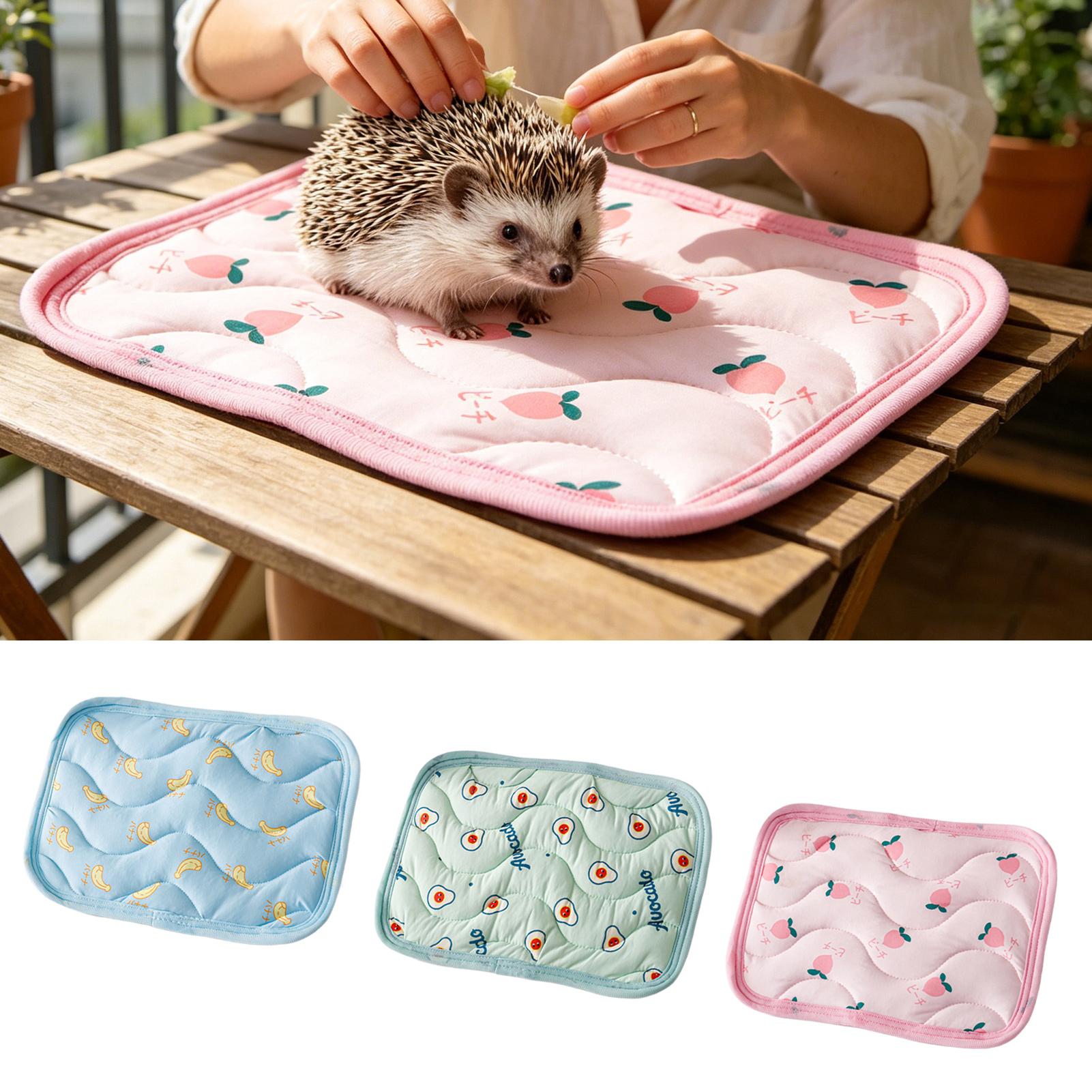 Tappetino Refrigerante per Ani - Outdoor Camping Dog Bed recensione e prezzo