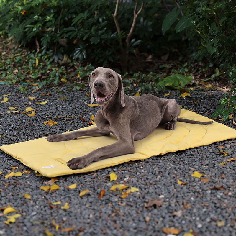 Tappetino per animali domestic - Outdoor Camping Rugs recensione e prezzo
