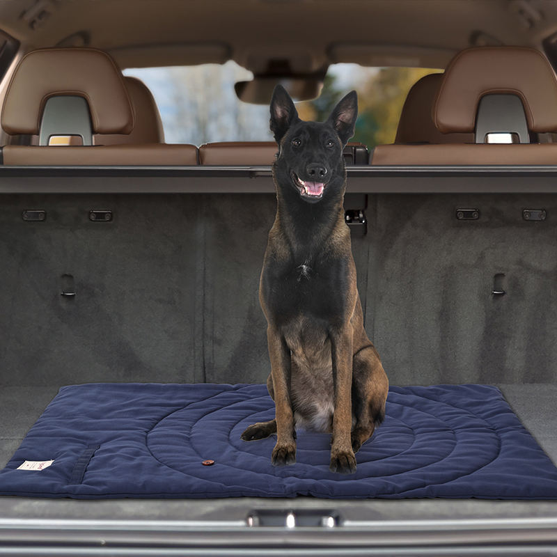Tappetino per animali domestic - Outdoor Camping Rugs recensione e prezzo