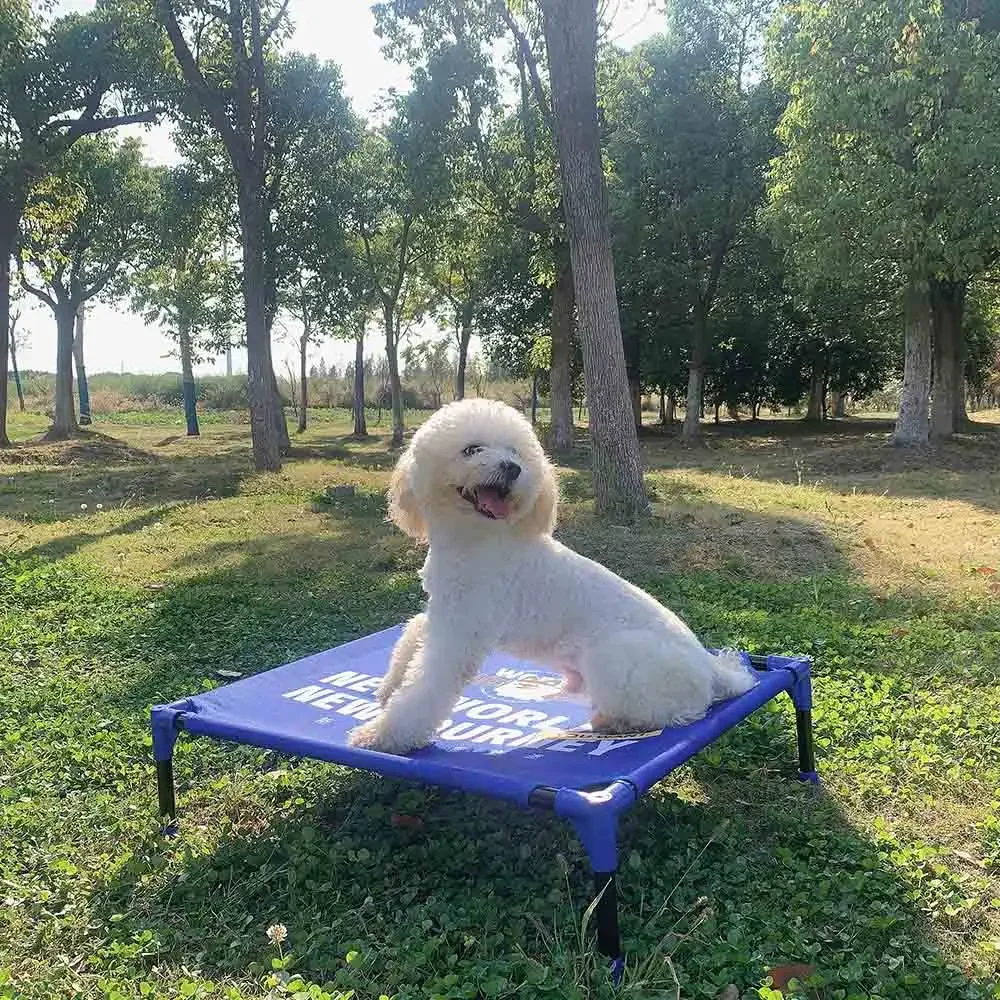 FULED Letto Rialzato Portatile - Outdoor Camping Dog Bed recensione e prezzo