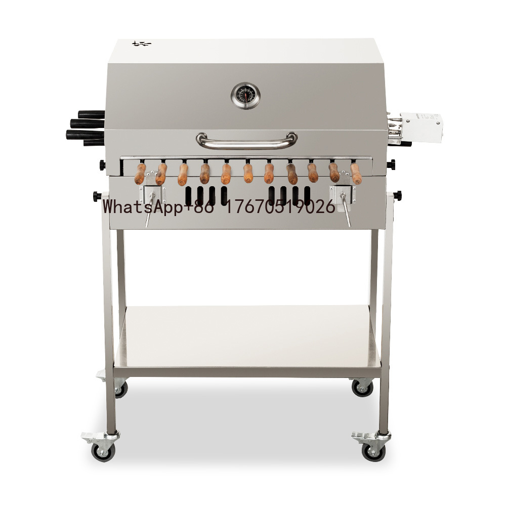 Griglia BBQ Moderna per Estern - Outdoor Camping Trolley recensione e prezzo