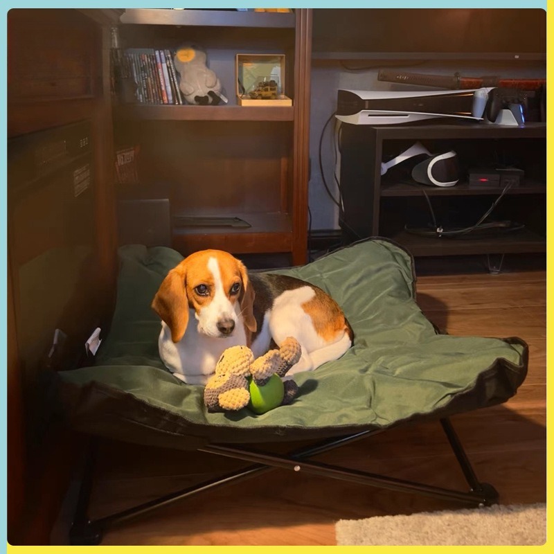 Cuccia Pieghevole Portatile pe - Outdoor Camping Dog Bed recensione e prezzo